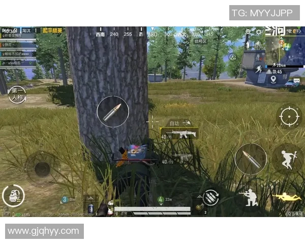 和平精英战术BLG区域防守体系解析与实战应用探讨实时新闻